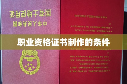 龙安职业资格证书制作的条件