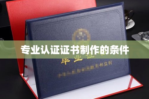 龙安专业认证证书制作的条件