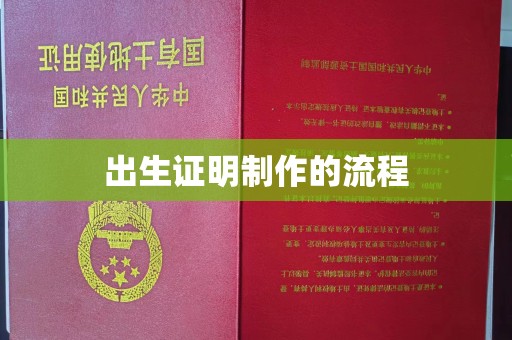 龙安出生证明制作的流程