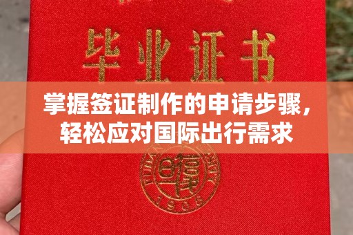 龙安掌握签证制作的申请步骤，轻松应对国际出行需求
