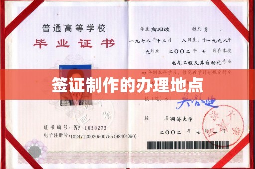 龙安签证制作的办理地点