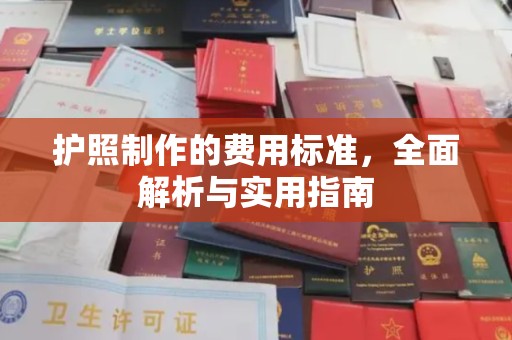 龙安护照制作的费用标准，全面解析与实用指南