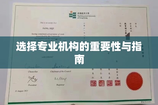 龙安选择专业机构的重要性与指南