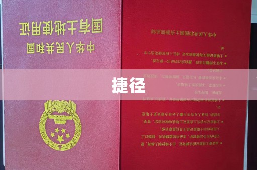 龙安捷径