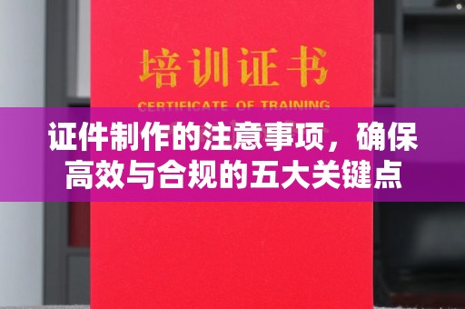 龙安证件制作的注意事项，确保高效与合规的五大关键点
