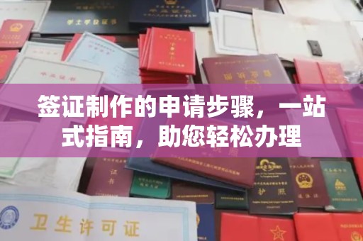 龙安签证制作的申请步骤，一站式指南，助您轻松办理