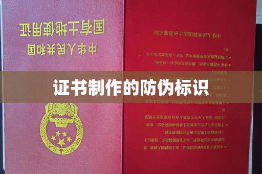 龙安证书制作的防伪标识